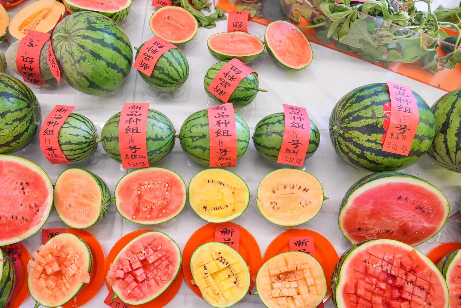 全国西瓜大兴“打擂”，庞各庄189斤大西瓜问鼎“瓜王”