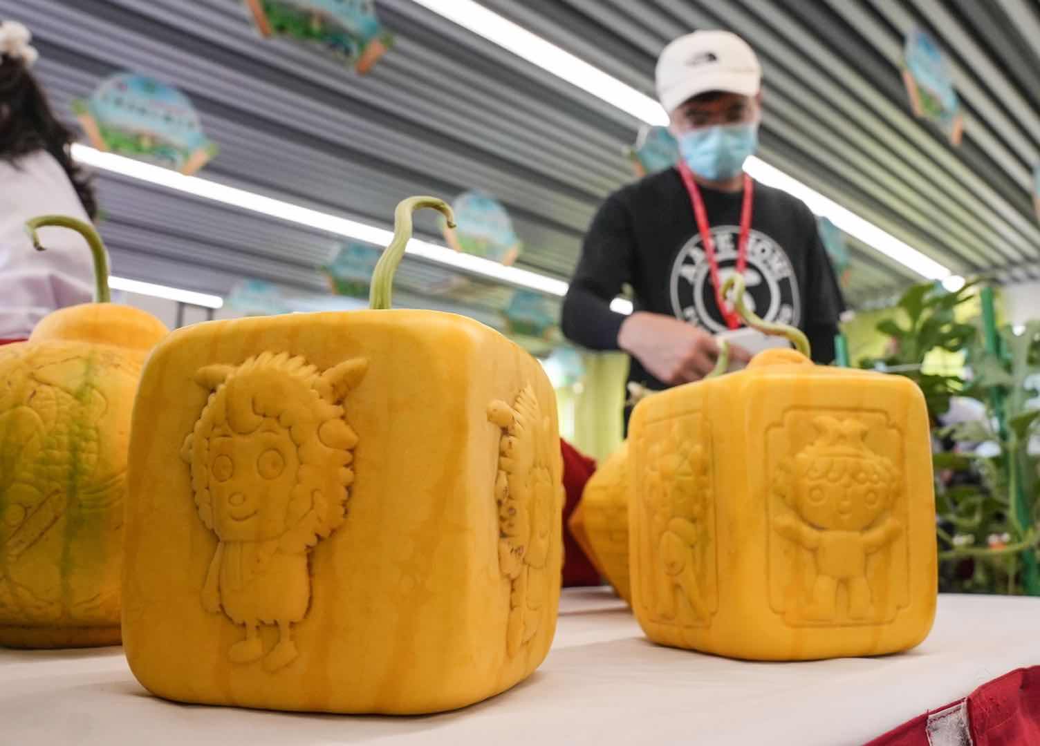 全国西瓜大兴“打擂”，庞各庄189斤大西瓜问鼎“瓜王”