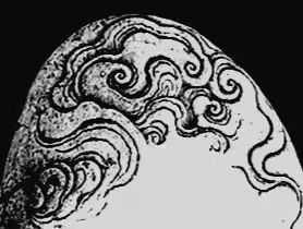 砚里方外——制砚人俞飞鹏说砚