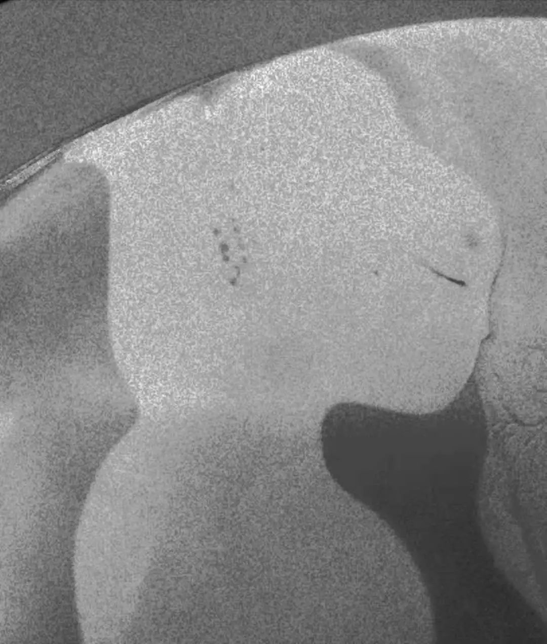 砚里方外——制砚人俞飞鹏说砚