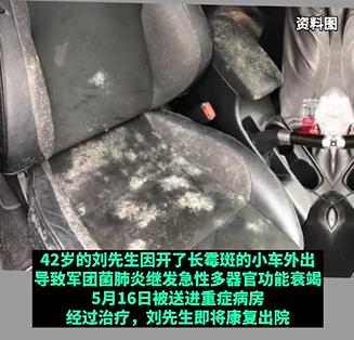 车发霉进icu,车子室内发霉