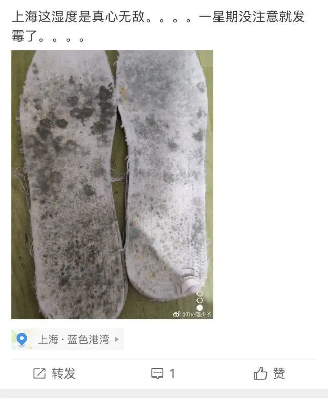 车发霉进icu,车子室内发霉