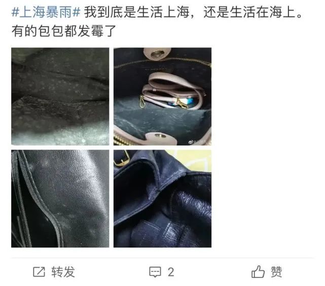 车发霉进icu,车子室内发霉