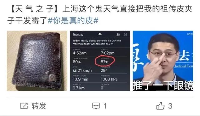 车发霉进icu,车子室内发霉
