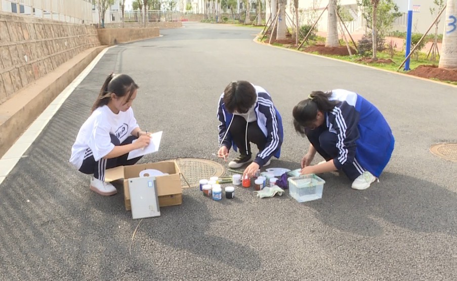 我的学校我做主歌曲,我的学校我做主栏目