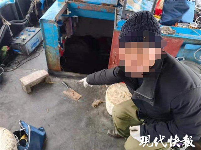 长江鳤鱼被判刑,长江鲟被判18个月