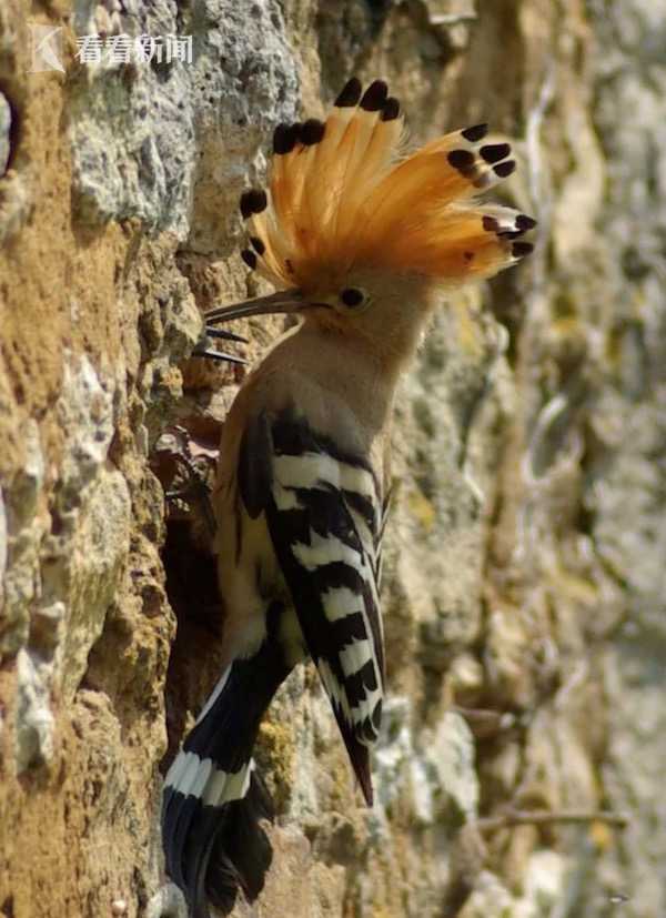 卫生间开门吊顶响声,卫生间吊顶有异响吓坏房主
