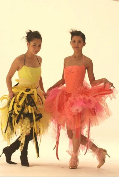 蔡卓妍钟欣潼twins感人事件,twins钟欣潼蔡卓妍华表奖合体