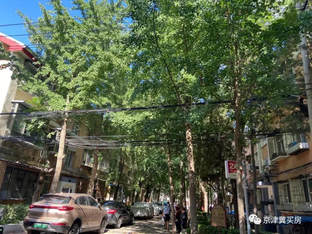 月坛学区最值得买的小区,月坛学区房深度分析