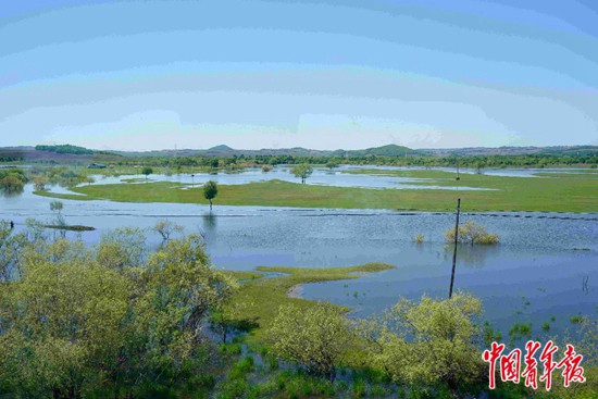 k5117次列车途经站点,k5117次列车途经站