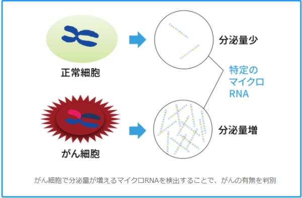 日本东芝“滴血测癌”技术最快今年商用，1000元测13种癌症