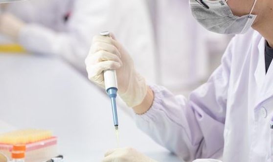 日本东芝“滴血测癌”技术最快今年商用，1000元测13种癌症