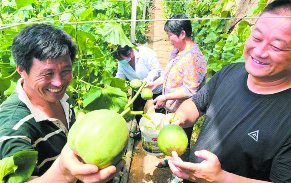 禹城扬帆徒骇河设计图,禹城十三五改革创新