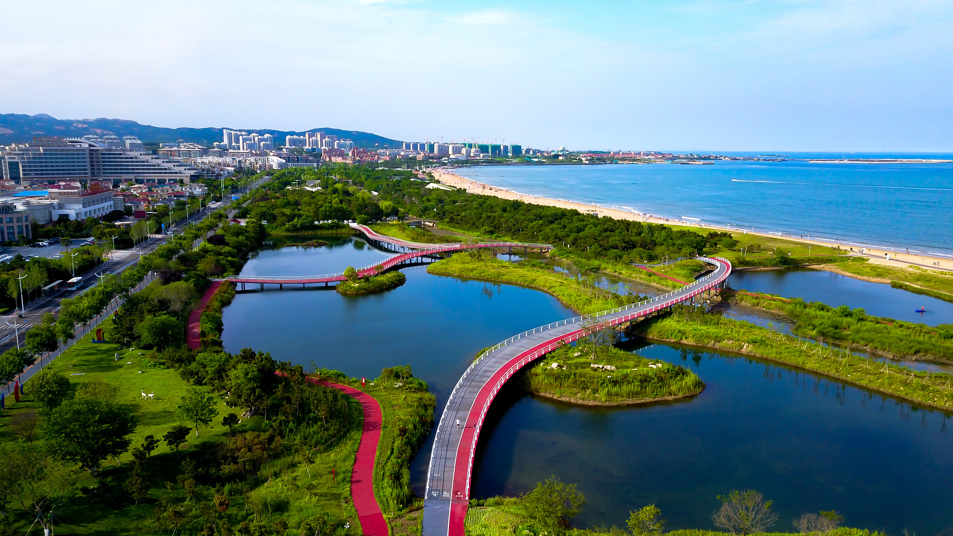 日照蓝丝带,山东日照带子