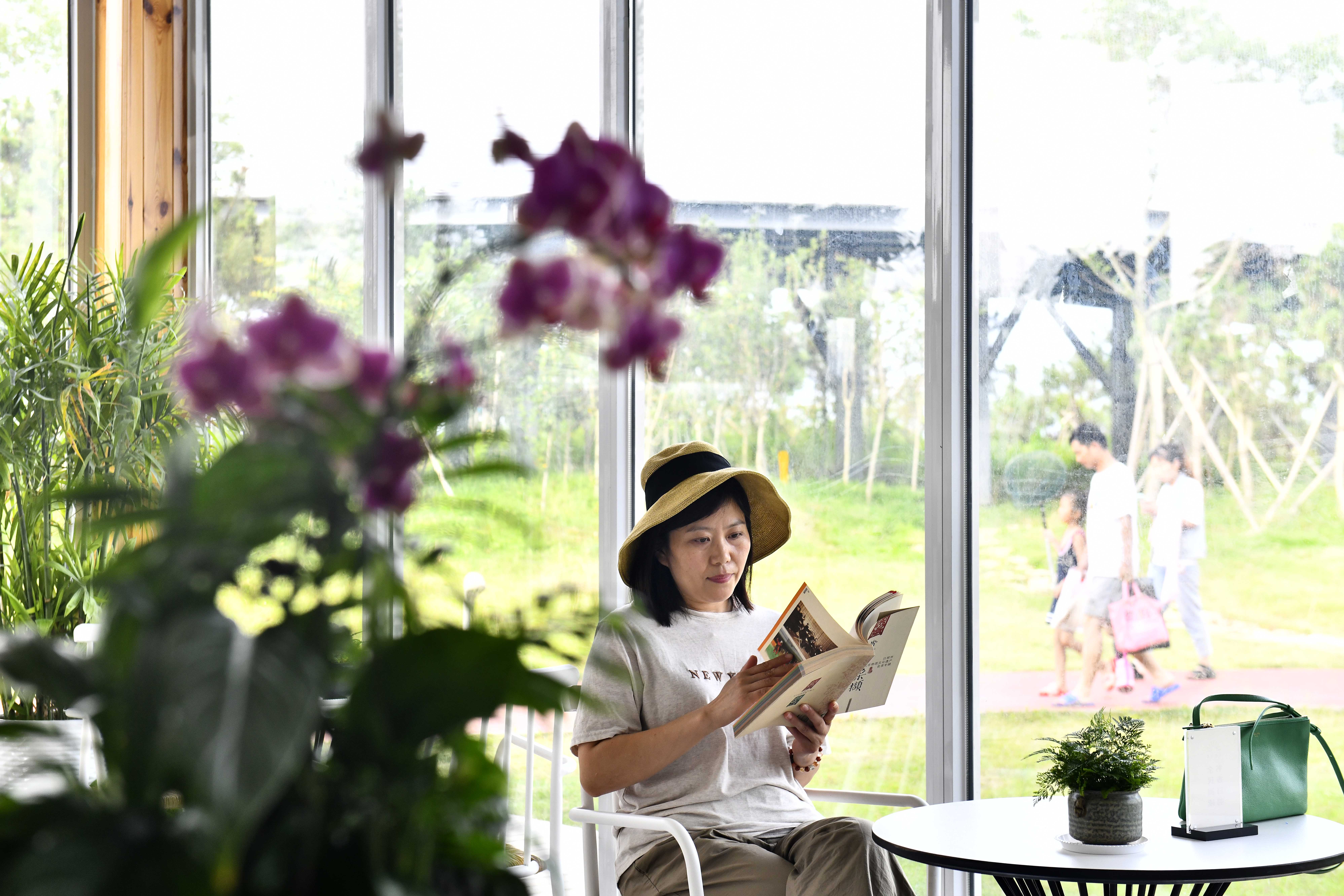 日照蓝丝带,山东日照带子