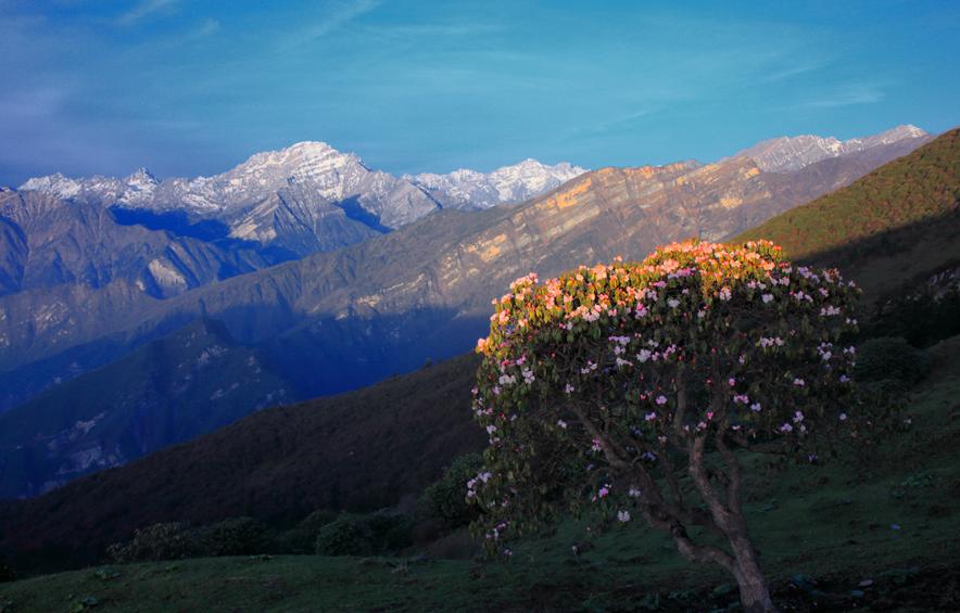 平武有“六度”，专治各种不舒服