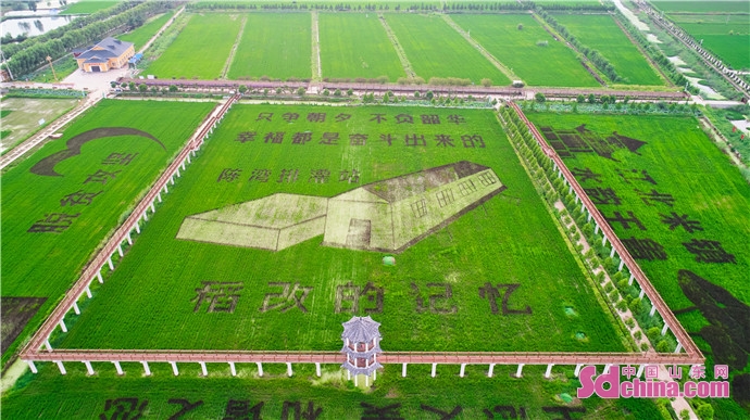 鱼台县城市建设,鱼台县新旧动能转换