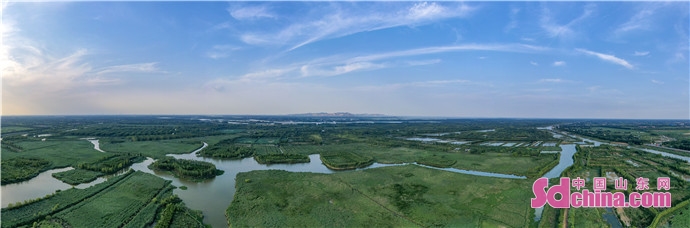 鱼台县城市建设,鱼台县新旧动能转换
