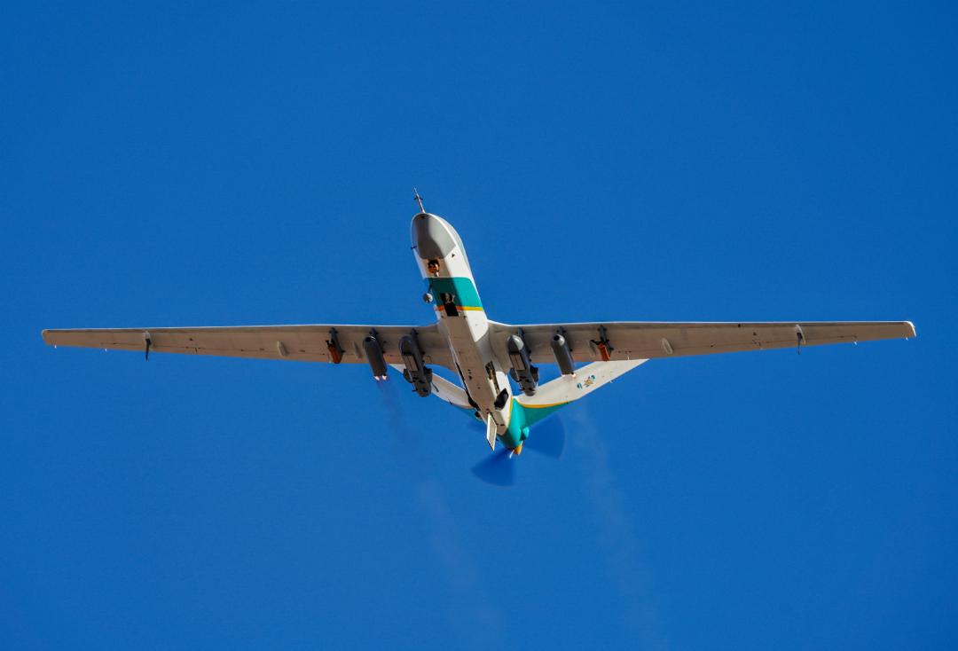 很多的翼龙,现在的翼龙