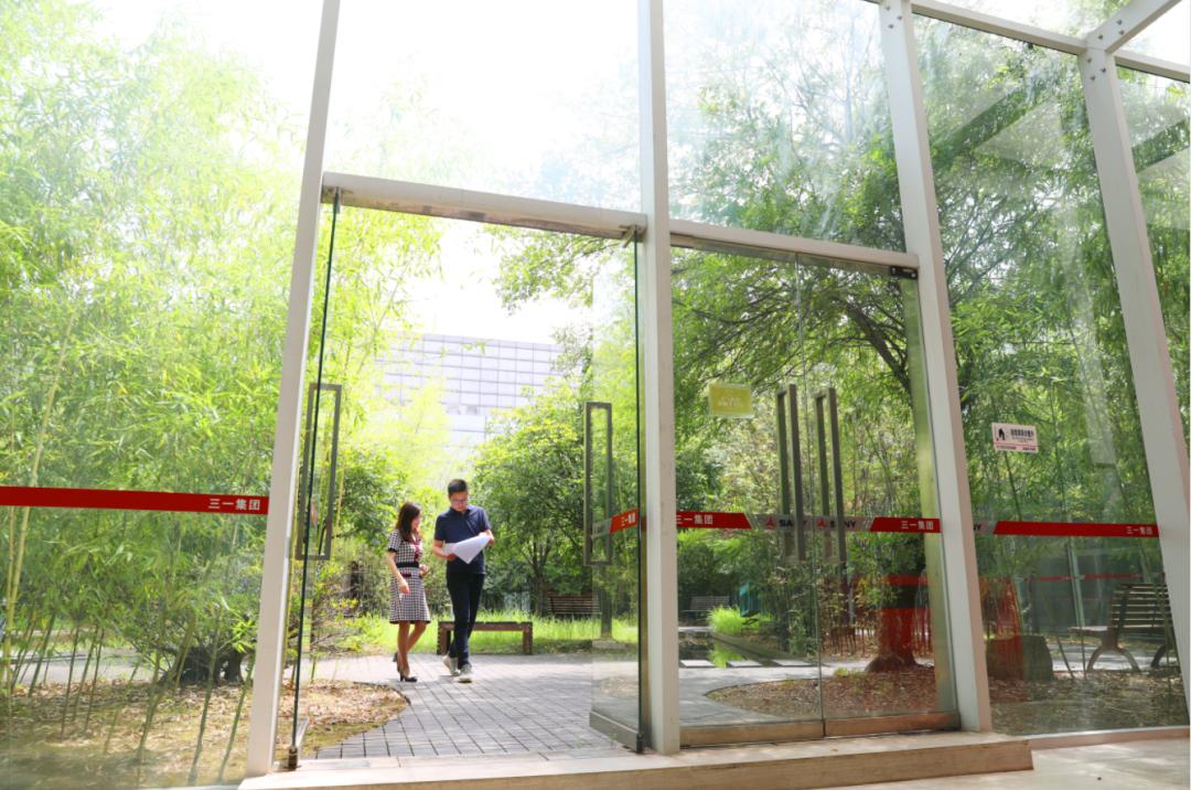 一起来看！“小巨人”能办大事