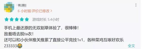 现实的无双,无双王者普通人什么水平