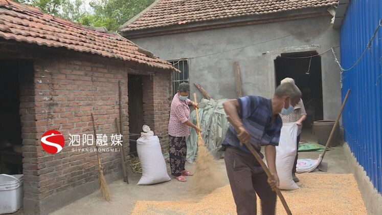 泗阳微服务平台,泗阳志愿者服务平台