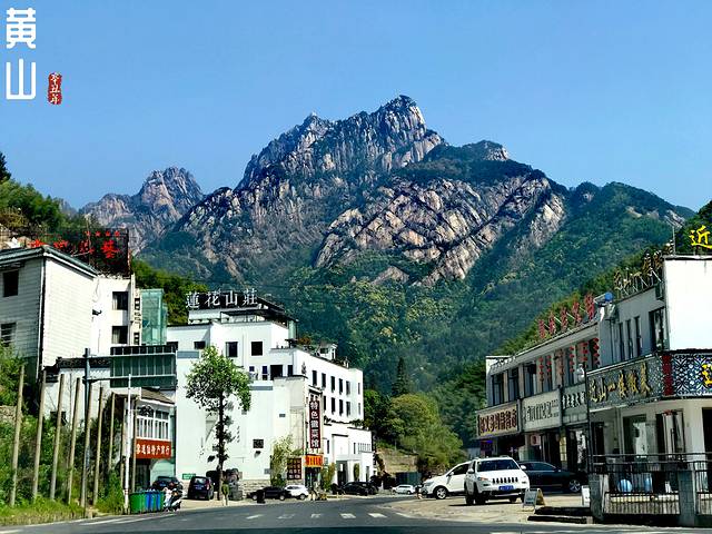 徽州的春天全集,黄山的春天风景