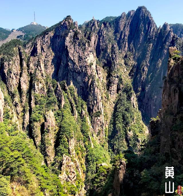 徽州的春天全集,黄山的春天风景