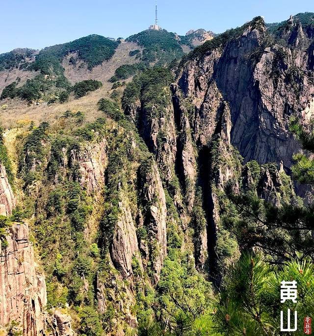 徽州的春天全集,黄山的春天风景