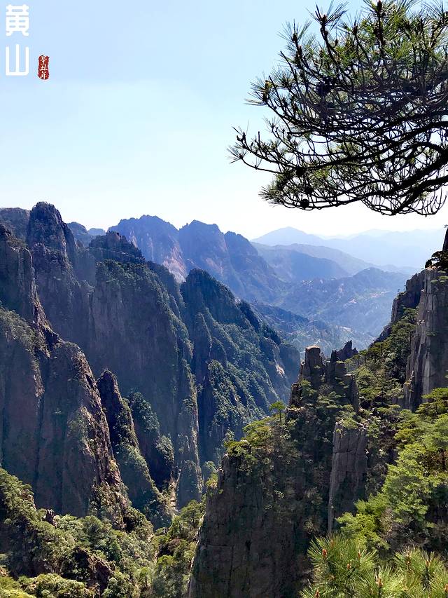 徽州的春天全集,黄山的春天风景