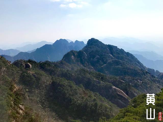 徽州的春天全集,黄山的春天风景