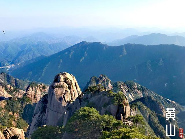 徽州的春天全集,黄山的春天风景