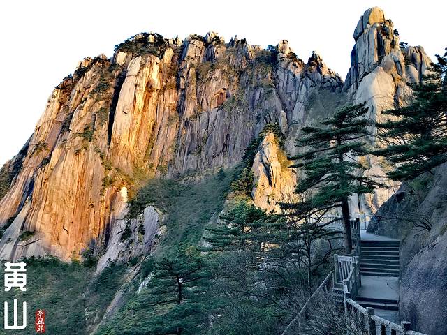 徽州的春天全集,黄山的春天风景