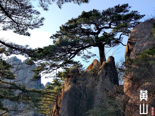 徽州的春天全集,黄山的春天风景