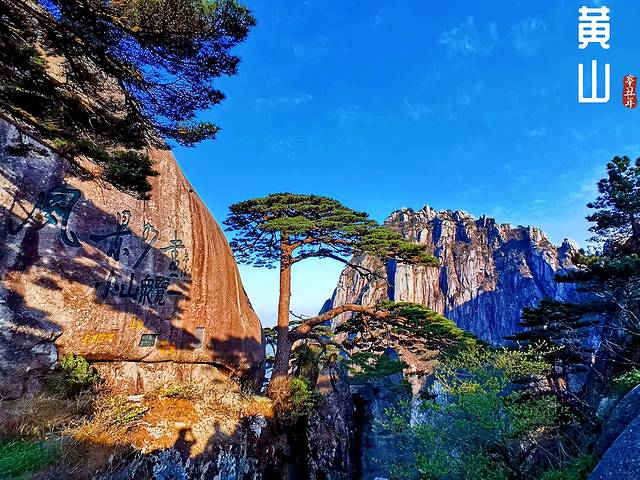 徽州的春天全集,黄山的春天风景