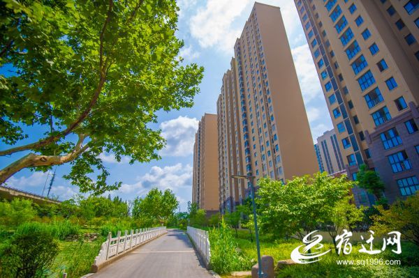 桥！宿迁的“颜值”担当