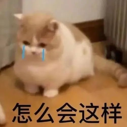 黄牛怎么抢票最难抢,黄牛最难买的票