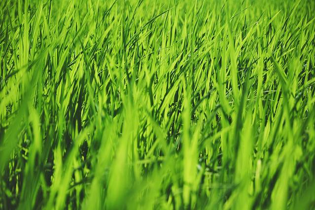 路过人间无非一瞬间歌曲,路过人间无非一瞬间舞蹈