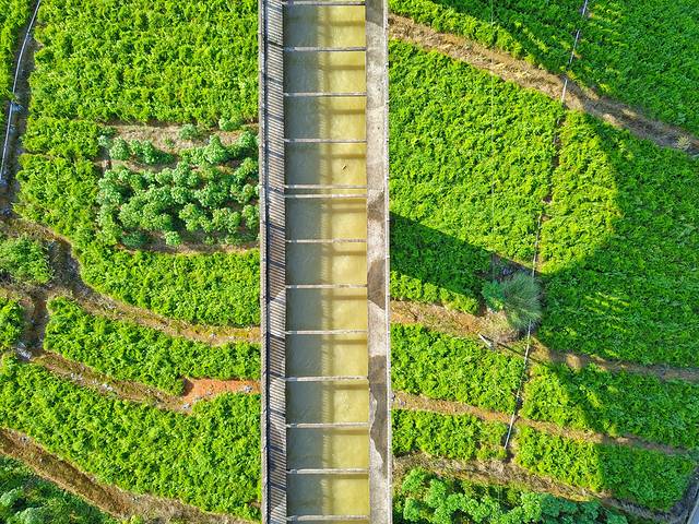 路过人间无非一瞬间歌曲,路过人间无非一瞬间舞蹈