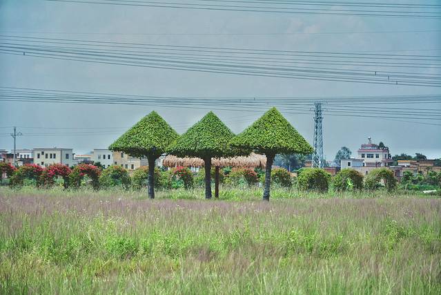 路过人间无非一瞬间歌曲,路过人间无非一瞬间舞蹈