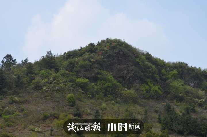 王炸！浙北发现500万吨“夜明珠”，粉、绿、紫、黄各种颜色都有