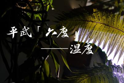 平武有“六度”，专治各种不舒服