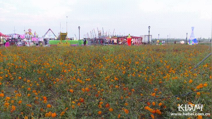 河北故城：科技“硬实力”+农旅“软文化”打造乡村振兴新引擎