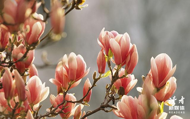 让你变厉害的几种思维方式,让你变厉害的15个好习惯