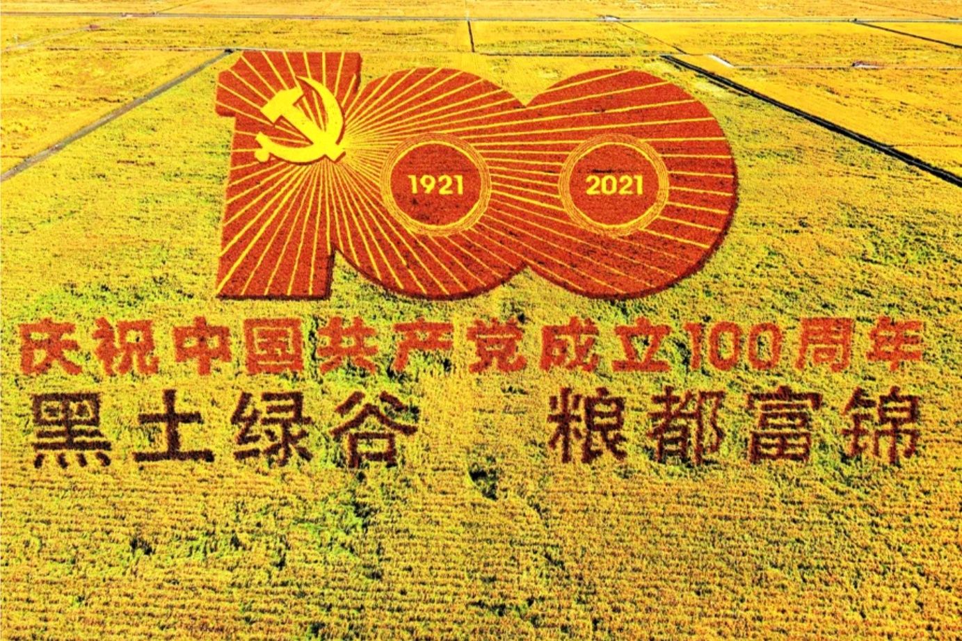 “湿”意富锦，值得“稻”访