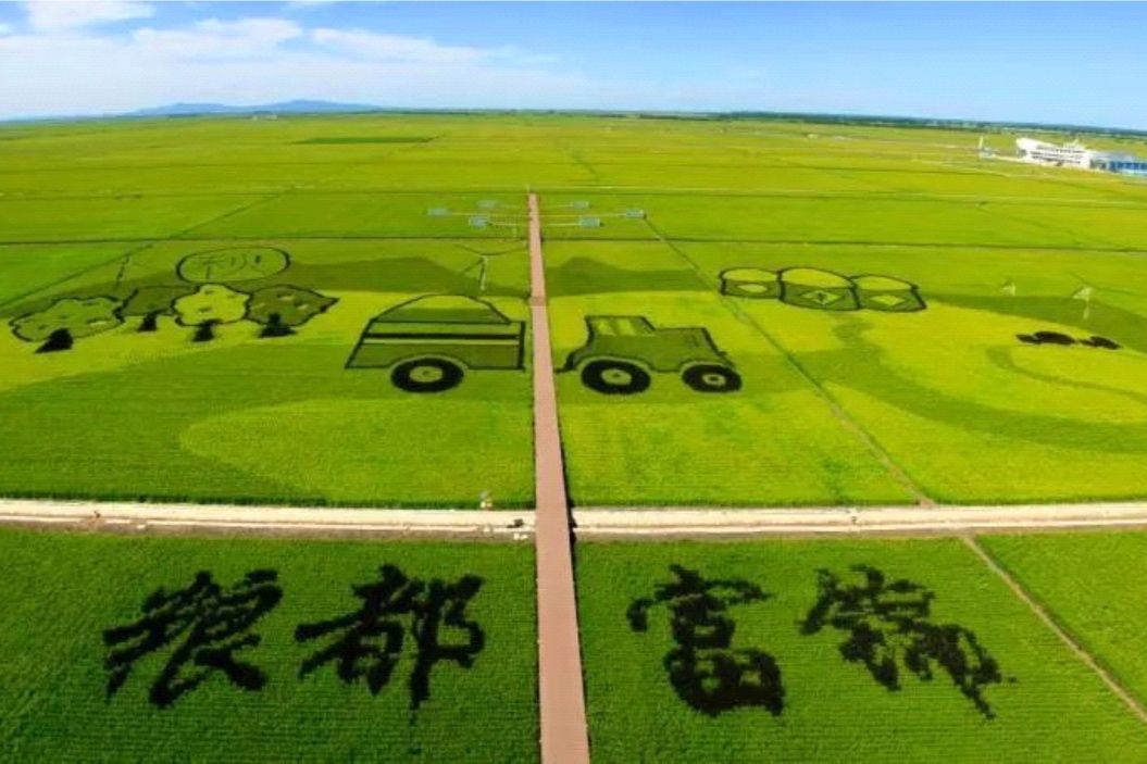 “湿”意富锦，值得“稻”访