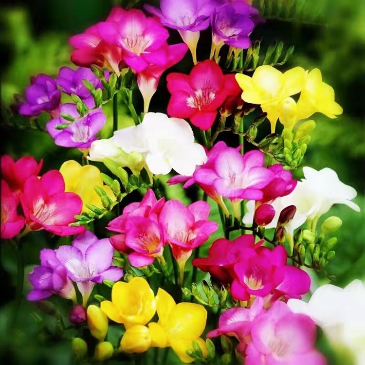 从电影《长津湖》想到的/赵顺年