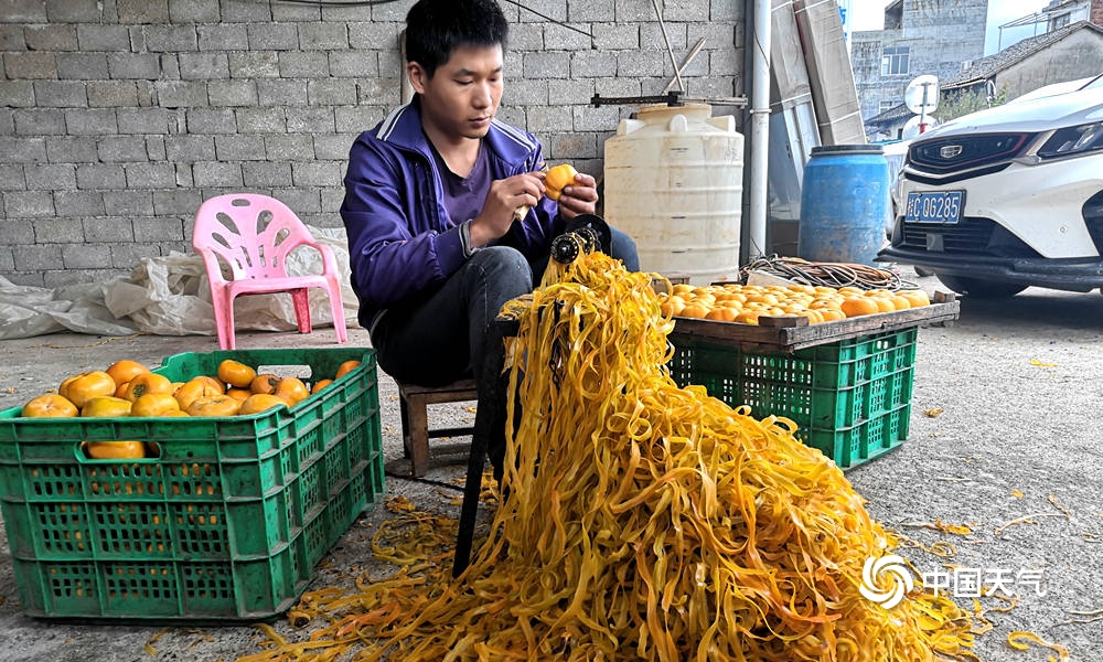 恭城柿子节天气,广西桂林恭城新鲜柿饼