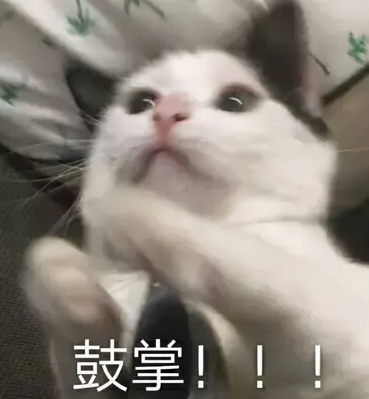 考cpa最好考几门,考cpa有什么用