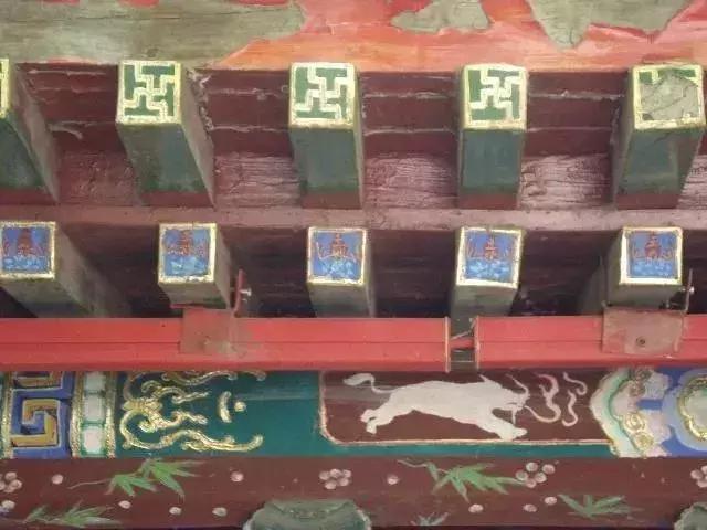 长得很丑的蝙蝠,蝙蝠象征意义是什么